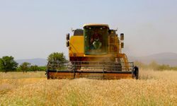 Korkuteli'de atıl araziler ucuz ekmek için üretime açıldı
