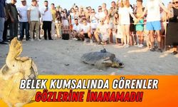 Serik'te engelli caretta caretta uyduyla takip edilecek