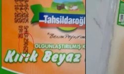 Tahsildaroğlu beyaz peynirinde bakteri nedeniyle toplatma