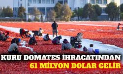 Kurutulmuş domates ihracatında 61 milyon dolarlık gelir