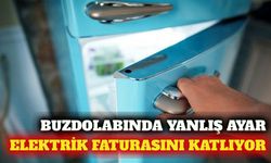 Elektrik faturasını düşüren ideal buzdolabı dereceleri