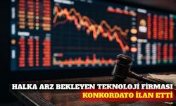 Halka arzı bekleyen teknoloji firması konkordato ilan etti