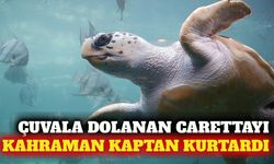 Denizde çuvala dolanan caretta carettayı kaptan kurtardı