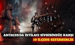 Antalya'da Asya kaplan sivrisineğine karşı 19 ilçede önlem