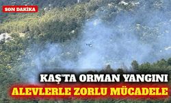 Kaş'ta orman yangını: Havadan ve karadan müdahale sürüyor