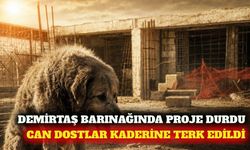 Demirtaş barınağında çalışma durdu iddiası