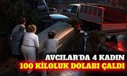 Avcılar'da 4 kadın 100 kiloluk buzdolabını çaldı