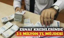 Esnaf kredilerinde limitler 3.5 milyon TL'ye yükseltildi