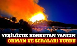 Alanya Yeşilöz'de yangın seraları ve ormanı vurdu