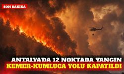 Antalya'da 12 orman yangını: Kemer-Kumluca yolu kapatıldı