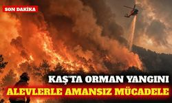 Kaş Üzümlü'de orman yangınına havadan ve karadan müdahale