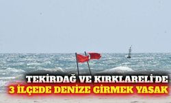 Tekirdağ ve Kırklareli'de 3 ilçede denize girmek yasaklandı