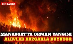 Manavgat'ta orman yangını rüzgarın etkisiyle büyüyor