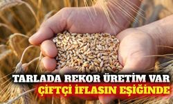 Rekor üretime rağmen tarımda iflas tehlikesi büyüyor