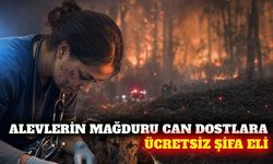 Yangın mağduru hayvanlara ücretsiz veteriner desteği