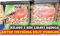 Fiyatı 2 bin lirayı aşan Antep fıstığı kilitli kutuda