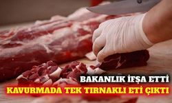 Kavurmada tek tırnaklı eti ve salçada boya tespit edildi