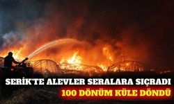 Serik'te otluk yangını: 100 dönüm arazi ve seralar yandı