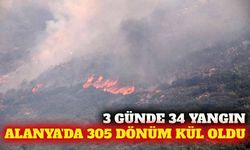 Antalya'da 3 günde 34 yangın: Alanya'da 305 dönüm yandı