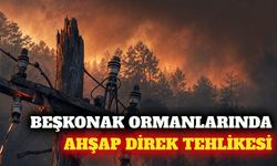 Beşkonak'ta orman yangınlarına karşı ahşap direk uyarısı