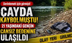 Serinlemek için girdiği çayda can verdi!