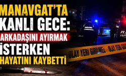 Manavgat'ta kanlı gece: Arkadaşını ayırmak isterken hayatını kaybetti