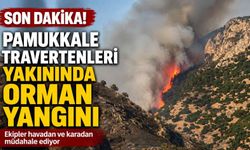 Pamukkale Travertenleri yakınında orman yangını