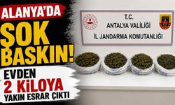 Alanya'da şok baskın! Evden 2 kiloya yakın esrar çıktı