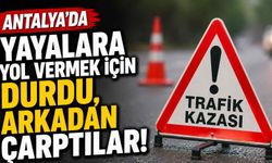 Antalya'da yayalara yol vermek için durdu, arkadan çarptılar