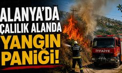 Alanya'da çalılık alanda yangın paniği!