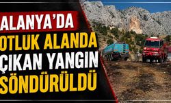 Alanya’da otluk alanda çıkan yangın söndürüldü