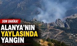Son dakika! Alanya'nın yaylasında yangın