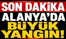Son dakika! Alanya'da büyük yangın