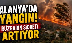 Alanya'da yangın! Rüzgarın şiddeti artıyor