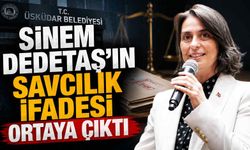 Sinem Dedetaş'ın savcılık ifadesi ortaya çıktı