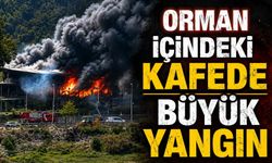 Orman içindeki kafede büyük yangın