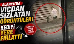 Alanya'da vicdan sızlatan görüntüler! Kediyi yere fırlattı