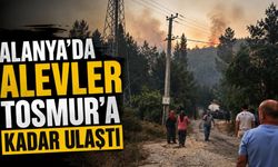 Alanya'da alevler Tosmur'a kadar ulaştı