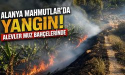 Alanya Mahmutlar'da yangın: Alevler muz bahçelerinde