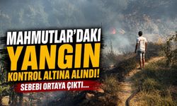Alanya Mahmutlar'daki yangın kontrol altına alındı! Sebebi ortaya çıktı...