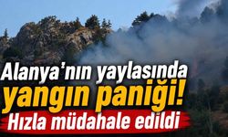 Alanya'nın yaylasında yangın paniği! Hızla müdahale edildi