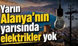 Alanya'da 2 Temmuz'da planlı elektrik kesintisi: İşte etkilenecek mahalleler