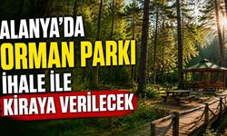 Alanya'da orman parkı ihale ile kiraya verilecek