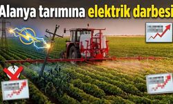 Alanya tarımına elektrik darbesi