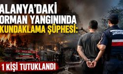 Alanya'daki orman yangınında kundaklama şüphesi: 1 kişi tutuklandı