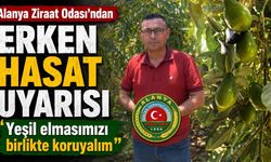Alanya Ziraat Odası'ndan erken hasat uyarısı "Yeşil elmasımızı birlikte koruyalım"