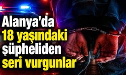 Alanya'da 18 yaşındaki şüpheliden seri vurgunlar