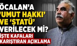 Öcalan'a "umut hakkı" tartışmalarına AK Parti'den açıklama: "Özel düzenleme yok"