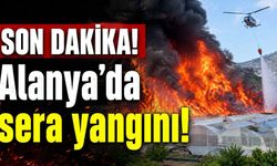 SON DAKİKA! Alanya'da sera yangını!