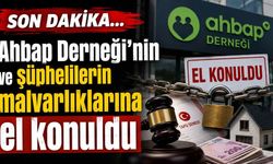 Ahbap soruşturmasında flaş gelişme: Dernek ve şüphelilerin mal varlıklarına el konuldu